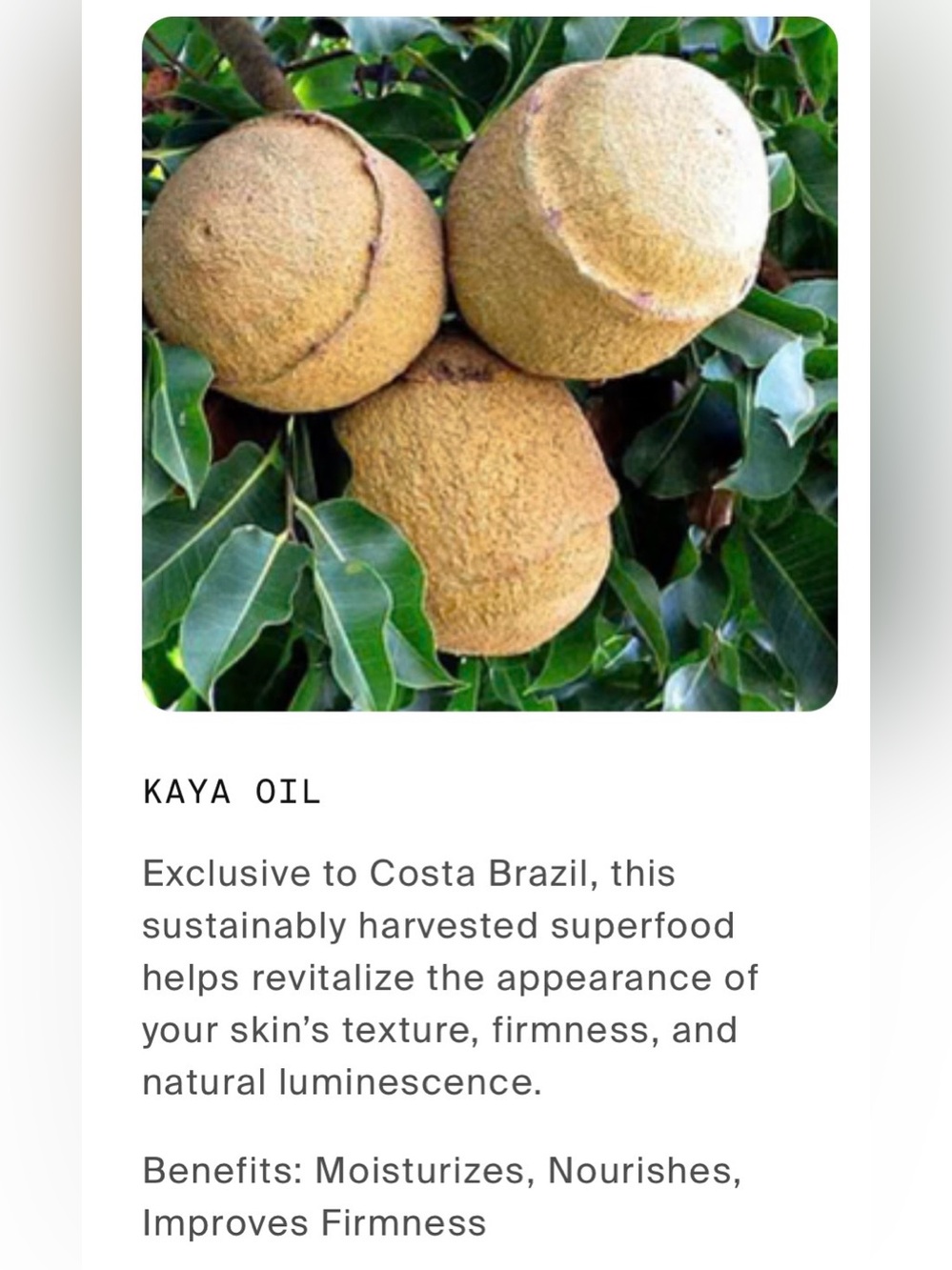 COSTA BRAZIL Kaya Anti-Aging Face Oil — 30 ml / 1 fl oz. NIB ✨ - Picture 4 of 10